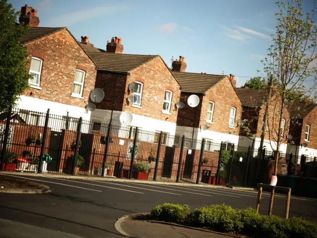 Choosing a Companion: The Ins and Outs