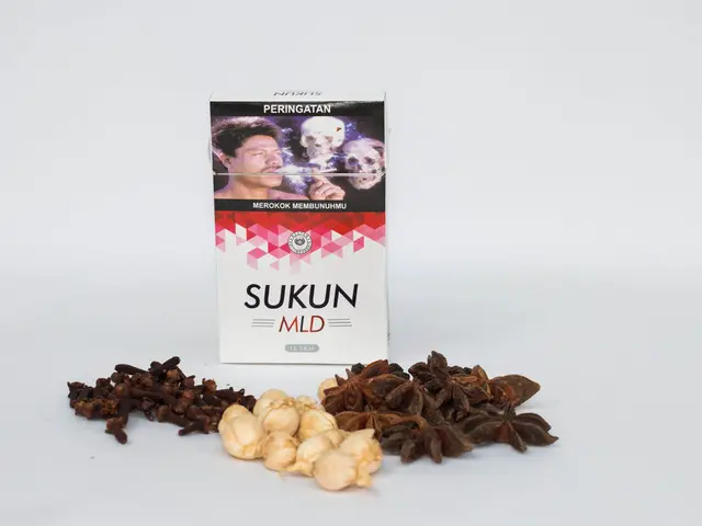 Cinnamon and Acid Reflux: Advantages, Drawbacks, and Guide for Utilization