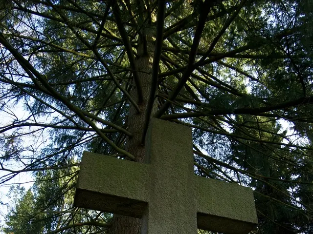 Eliminated Straight for Repair: When Can You 'Sink Down' on the STAR? (Direct clarification:...