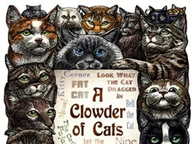 Hanoi initiates trial program for rabies control and aid in the shift of dog and cat meat industry