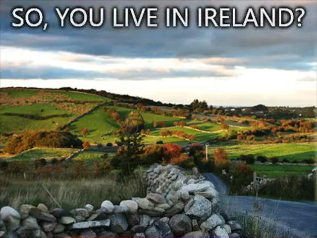 Claiming Damage from a Home Fire: A Seven-Day Guide on Submitting the Required Invoice