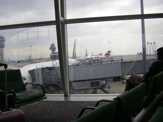 Airline Company Tap Air Portugal unveils expanded cargo hold areas in their aircraft cabins for...