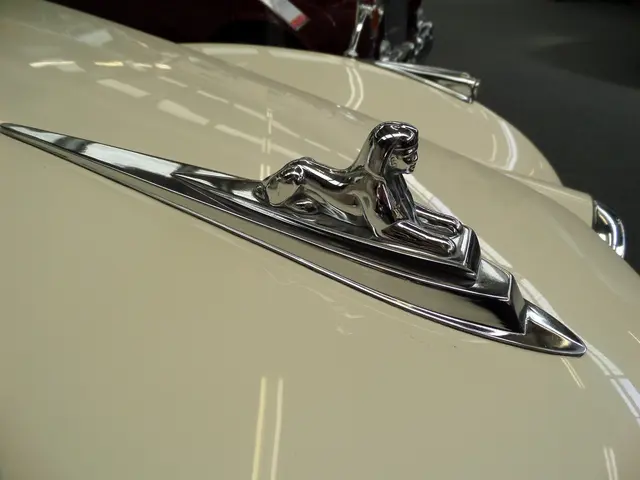 Redesign unveiled: German Airways' updated aircraft aesthetic