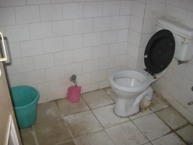 In this image, at the right side there is a white color western toilet, there is a white color...