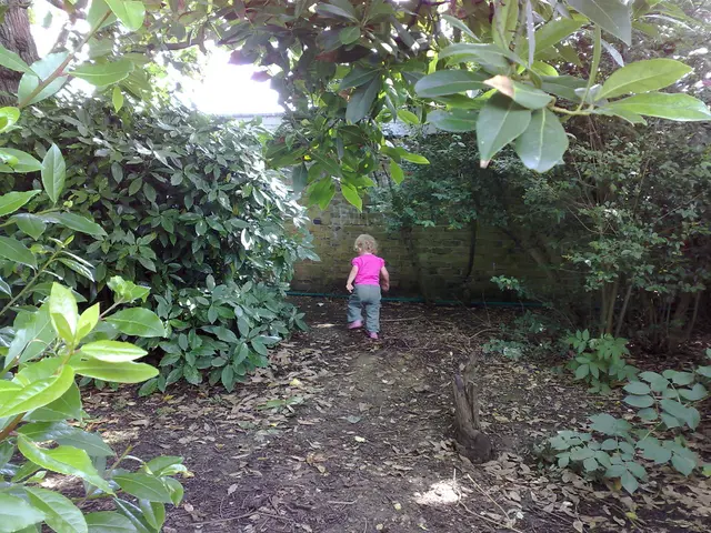 As we can see in the image there are plants, wall, tree, sky and a child wearing pink color dress.
