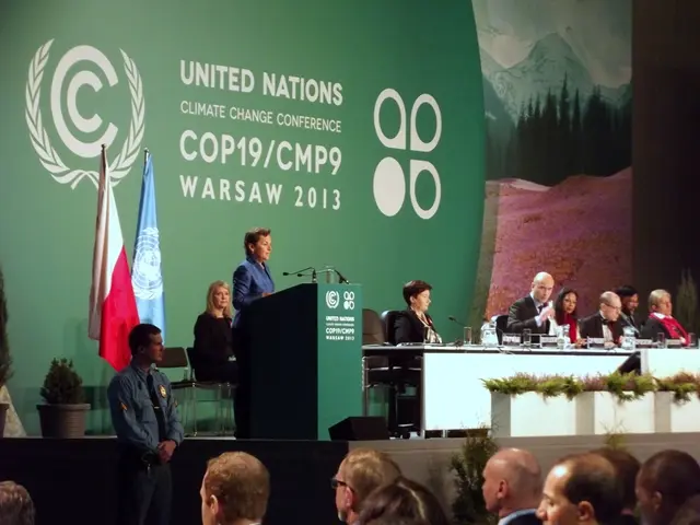 This is the woman standing near the podium with the miles. These are the mikes. I can see a group...