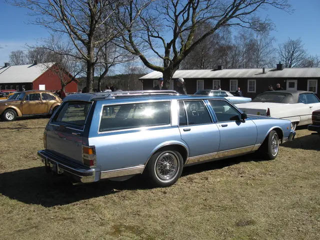In this image there are houses, trees, grass, people, vehicles, sky and objects. Land is covered...