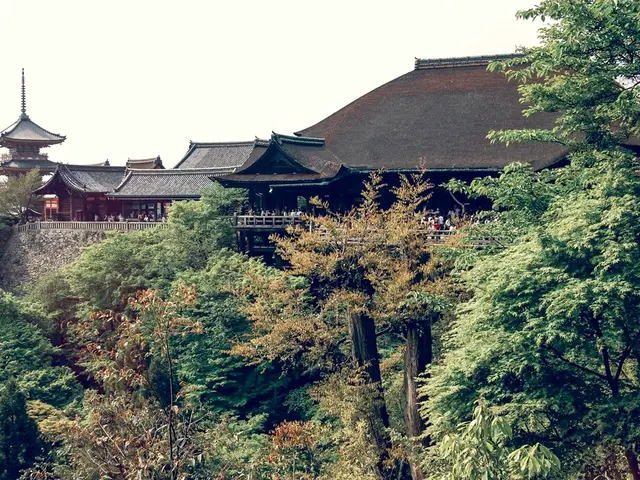 In this image there are trees, ancient architectural buildings, railing, people and sky.