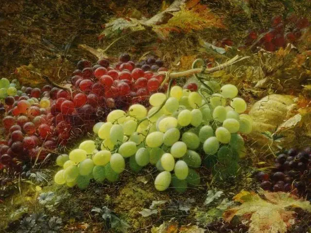 In this image I can see grapes bunches on the ground. This image looks like a painting.