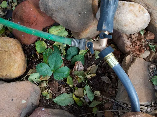 In this picture, we see the tap and the pipes in green and blue color. At the bottom, we see the...