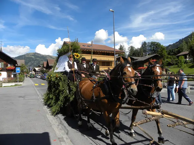 In this picture we can see there are three people sitting on a cart and on the cart there is a...