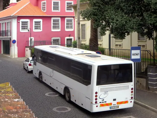 In the middle of the image there are some vehicles on the road. Behind the vehicles there are some...