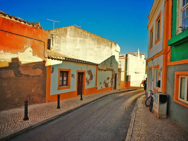 At the bottom of the picture, we see the road. On either side of the road, we see the footpath. On...