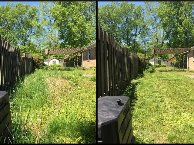 This is an image with collage. In this image we can see some houses, a roof with the poles, some...