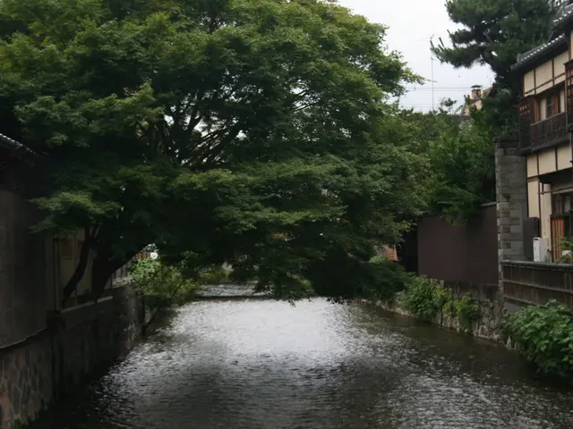 This image is taken outdoors. At the bottom of the image there is a lake with water. On the left...