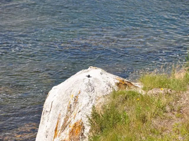 As we can see in the image there is water, rock and grass.