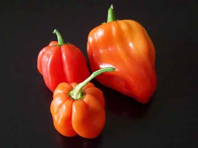In the foreground of this image, there are capsicums on the surface.