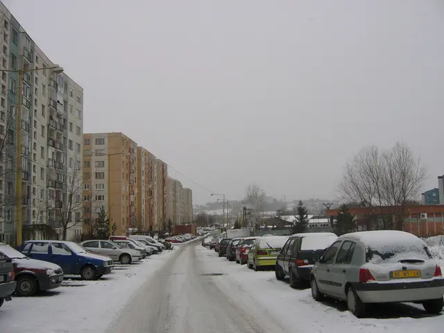 In this picture there are houses, trees, cars, and poles on the right and left side of the image,...