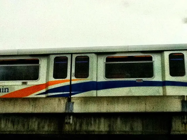 In this picture we can see a train on the bridge.