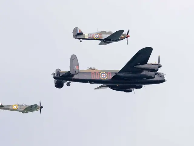 This image is taken outdoors. In the background there is a sky. In the middle of the image three...