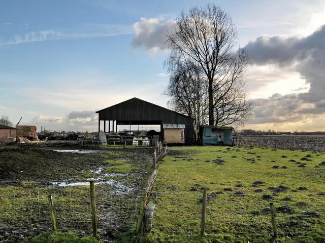 In this picture there is a boundary at the bottom side of the image and there is grassland in the...
