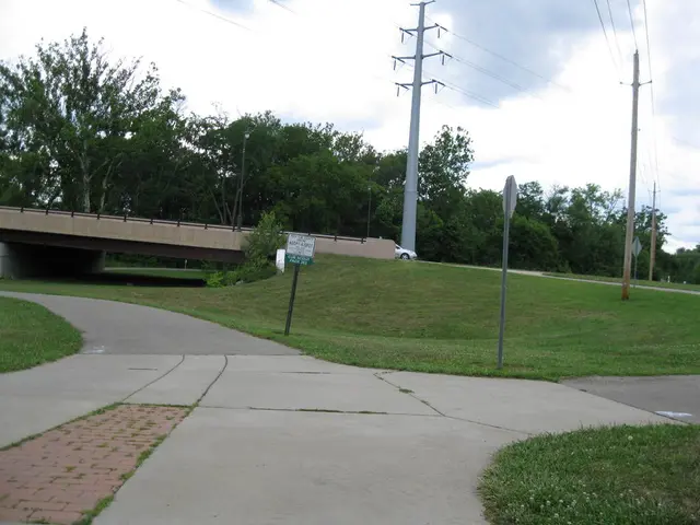 This image is clicked outside. At the bottom, there is a road. To the right, there is green grass...