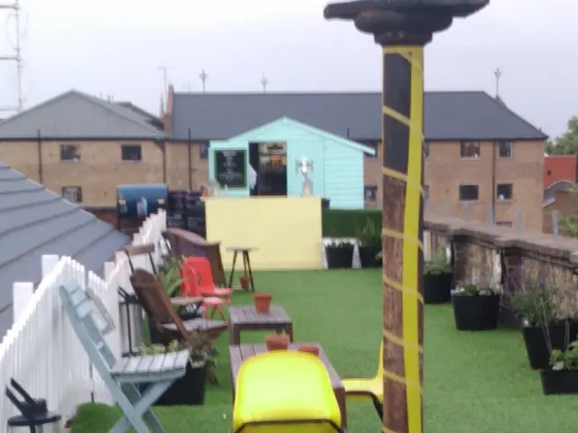 There are chairs, tables, plants and other objects are present on a grassy land as we can see in...