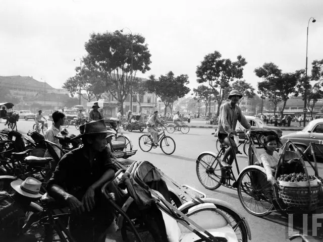 There are some bicycles,cars and few other vehicles passing on a road. There are some trees and few...