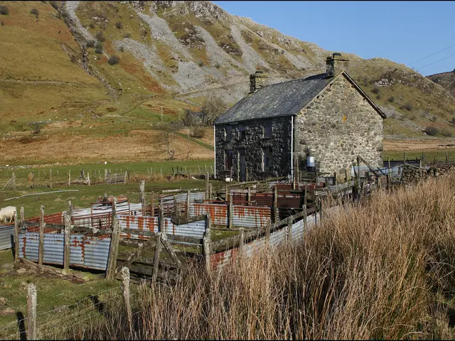 In this image there is a grass fencing, in the middle there is a house, in the background there is...