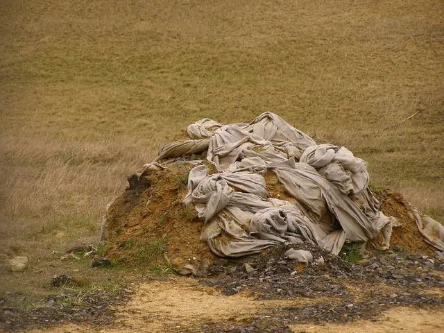 In this picture there is grass land in the image and there is a wet cloth on the mud.