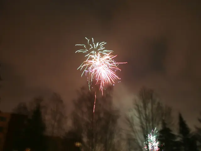 There are trees on the ground. In the background, there are fireworks and clouds in the sky.