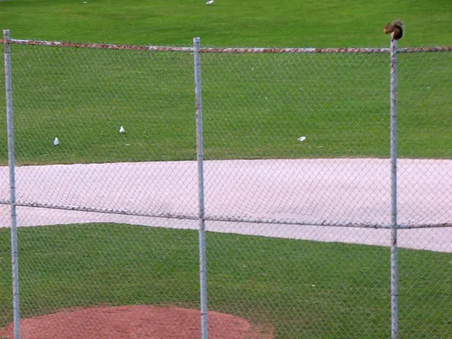 In this image we can see a squirrel on a metal fence. In the background, we can see some birds on...