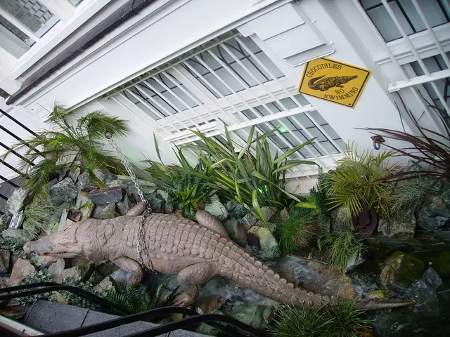 In this image there is a crocodile, beneath the crocodile there are water, some stones, plants and...