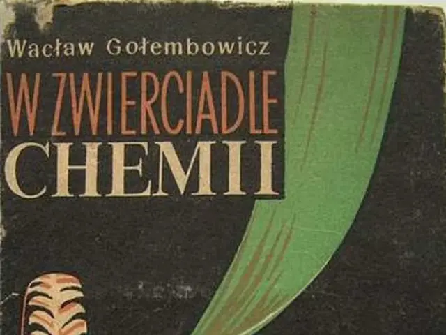 It is a poster. In this image, we can see tyres, bowl, cloth and some text.