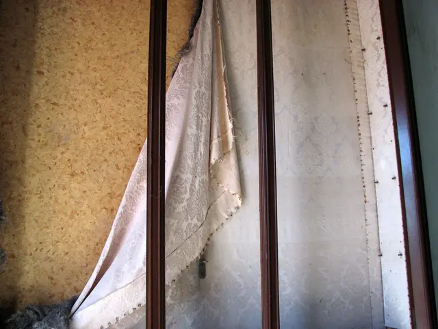 In the foreground of the picture there are iron poles, curtain and wall.