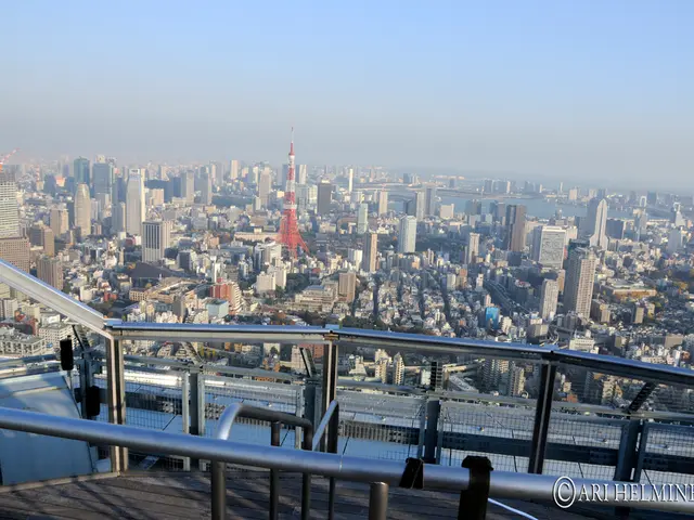 This is the top view of a city, in front of the image there is a metal rod fence, at the bottom of...