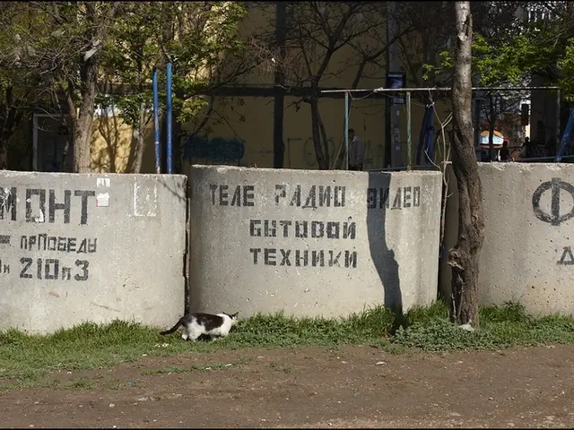 In this picture, there are three concrete tanks in the center. Beside the tank, there is a cat...