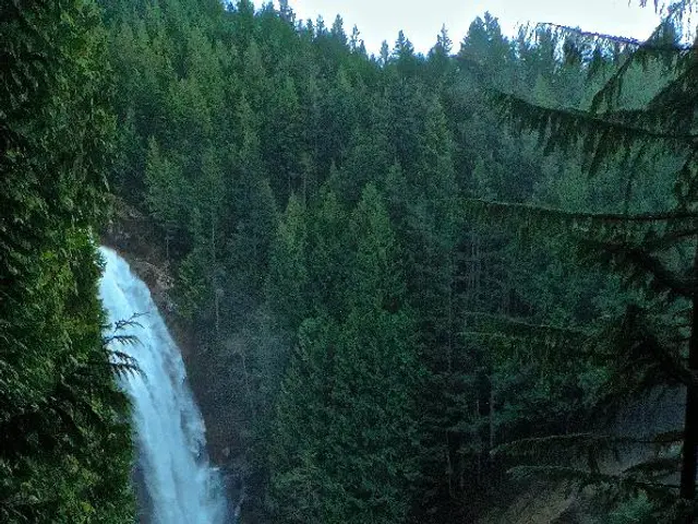 This picture is clicked outside the city. In the foreground we can see the trees and in the center...