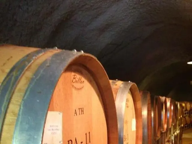 In this image there are barrels in the tunnel.