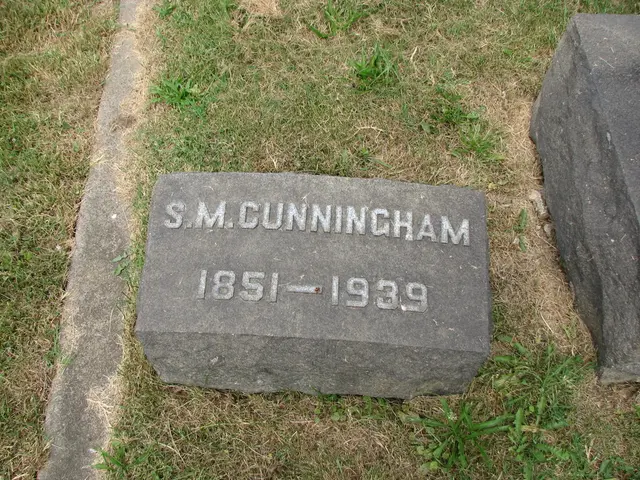 In this picture, it seems like a headstone in the foreground area of the image, on the grassland,...