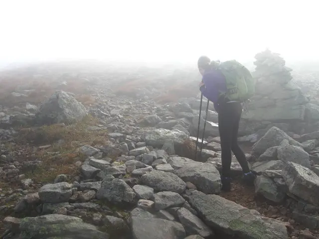 This picture is clicked outside. On the right we can see a person wearing backpack, holding some...