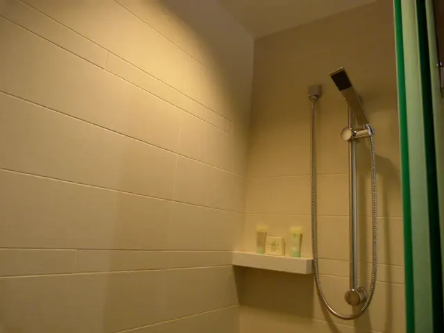 In this image we can see a toilet. There are few objects in the image. There are few objects on the...