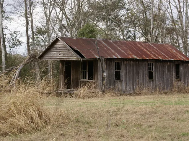 In the foreground of this image, there is grass land, a house, a wooden pole and a cable. In the...