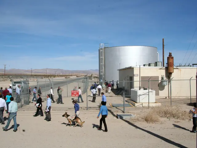 As we can see in the image there are few people here and there, fence, dog, houses, current poles...