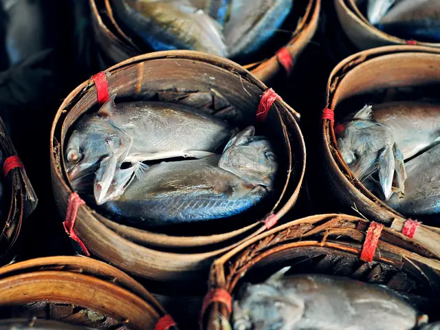 In this picture I can see buckets and in it I see number of fishes.