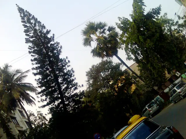 This picture is clicked outside the city. In the right bottom of the picture, we see cars moving on...
