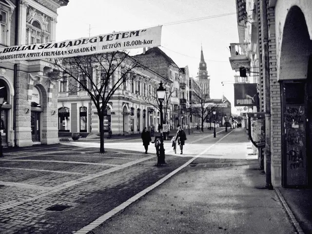 In the picture I can see the buildings on both sides of the road. There is a banner on the top left...