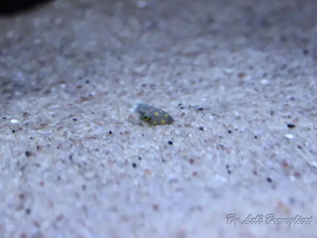 In this image in the center there might be a snake and at the bottom there is sand, and at the...