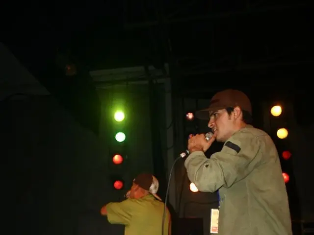 This image consists of two persons performing music. It looks like a concert. At the bottom, there...