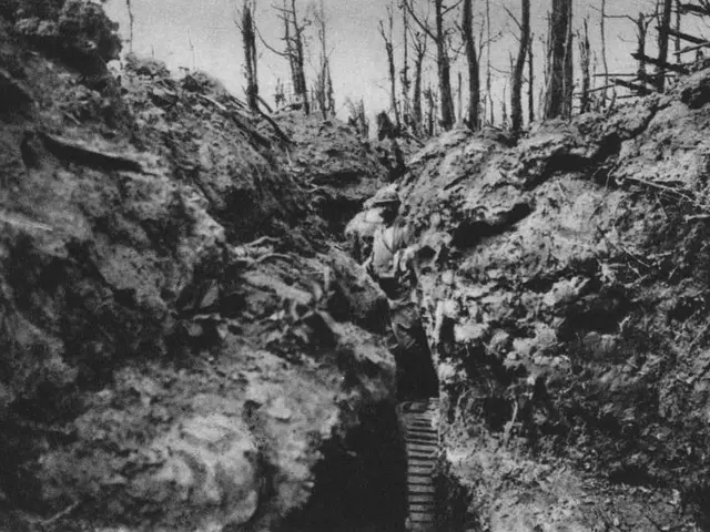 This image consists of a man standing. It looks like it is clicked in a forest. It is a black and...